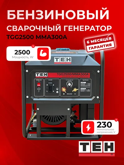 Бензиновый сварочный генератор TEH TGG2500/MMA300A