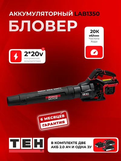 Аккумуляторная Воздуходувка TEH LAB1350